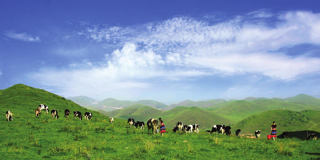 一步之城，萬(wàn)種風(fēng)情 ——《城步苗族自治縣旅游產(chǎn)業(yè)發(fā)展總體規(guī)劃及重點(diǎn)景區(qū)概念性規(guī)劃》