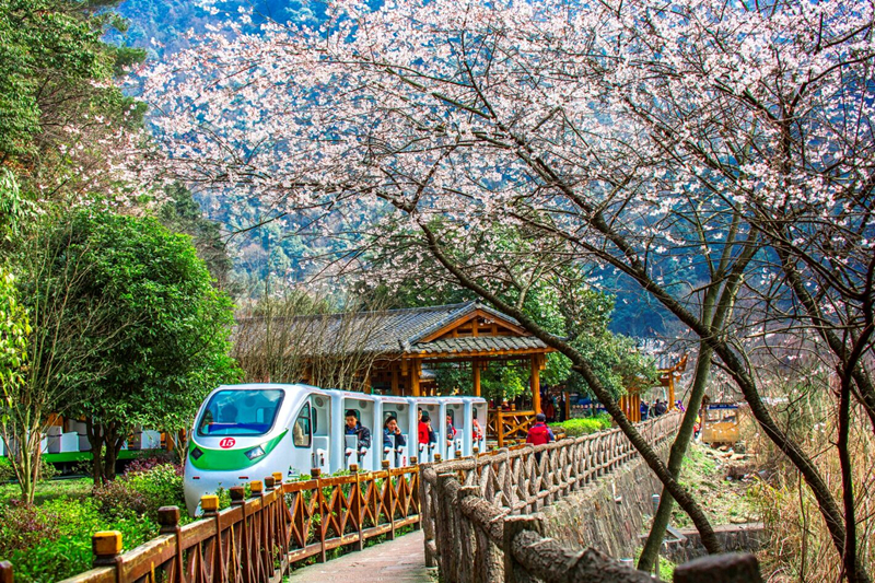 十里畫(huà)廊觀光電車(chē)_副本.jpg