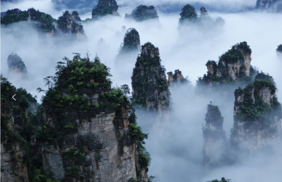 康養(yǎng)游大勢已至，張家界武陵源區(qū)點“藥”成金